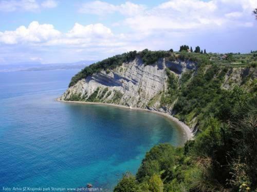 Amazing View Pirano Apartman Kültér fotó